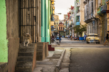 Obraz premium Havana Street