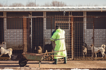 Two people are cleaning up the shelter of stray dogs, caregivers sweep in the shelter of dogs,...