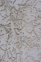 Texture of the decorative stucco wall as a background. Bark beetle style