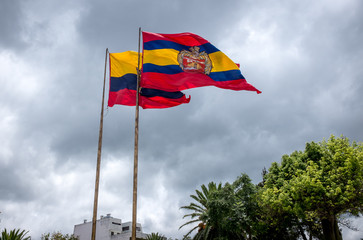 Flag of the city ofLoja Ecuador