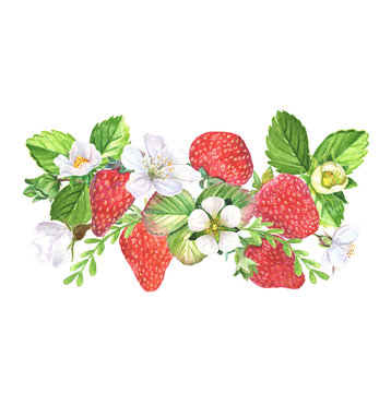 Botanical composition with strawberries, flowers and leaves isolated on white background. Watercolor hand painted bouquet.