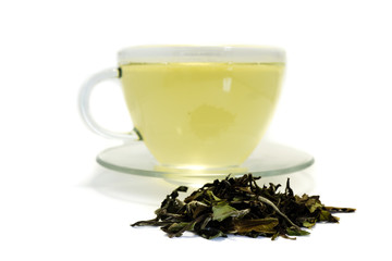 Grüner Tee isoliert freigestellt auf weißen Hintergrund, Freisteller

