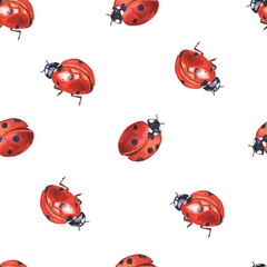 Lady bugs watercolor seamless pattern. Hand painted red insects on white background.