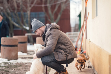 Dog trainer canine rehabilitation therapist for dogs rehabilitation program. Young dog trainer...