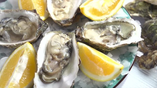 Fresh oysters closeup rotating in blue plate, served wooden table with oysters, lemon and ice. 4K Ultra high definition 3840X2160