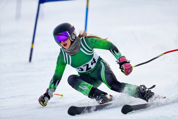 Skier in a Giant Slalom Race