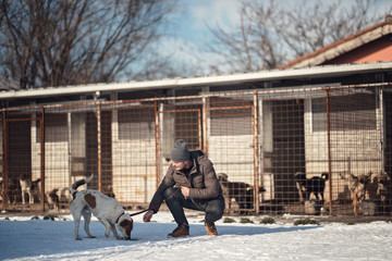 Dog trainer walking inside the public shelter cage with fence mesh built by the town hall for dogs...
