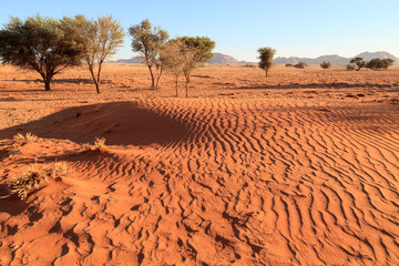 Namib-Naukluft Park