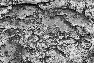 surface of stone with mold gray texture