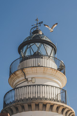 Fototapeta na wymiar A lighthouse in front of the sea. It's a sunny day and there is a seagull trying to land at the lighthouse.