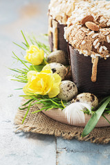 Colomba - italian easter dove cake on old rustic  board. Selective focus, free text space.