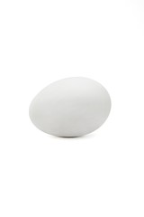 Duck Egg 