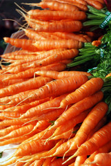 Bunch of Carrots at the Boulder Farmer's Market