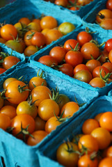 Closeup of Organic Tomatoes in Blue Baskets at the Boulder Farmer's Market