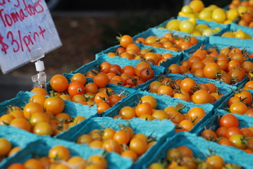 Rows Orange Cherry Tomatoes at Farmer's Market