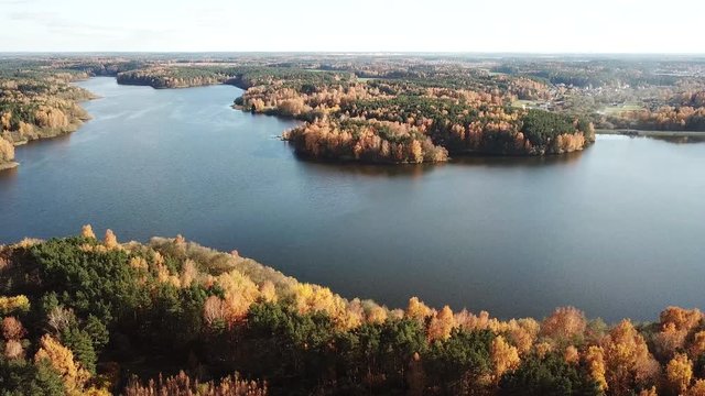 Autumn mixed forest around river or lake.