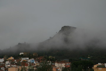 Fototapeta premium en la niebla