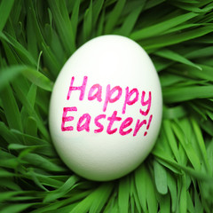 Single Happy Easter egg hidden in grass
