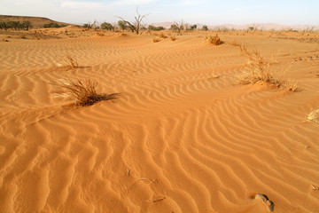 Namib-Naukluft Nationalpark