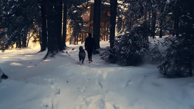 Akita dog and his master walking in the snow