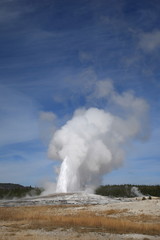 Fototapeta na wymiar Old Faithful - steaming geyser and forest at Wyoming park