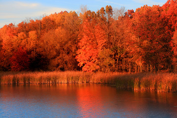Autumn reflections in morning sun light