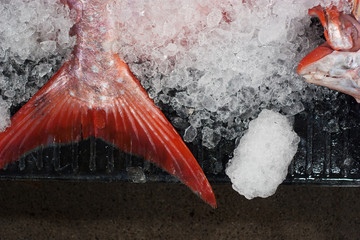 Opah at the Fishmarket