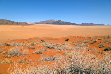 Fototapeta premium NamibRand-Naturreservat