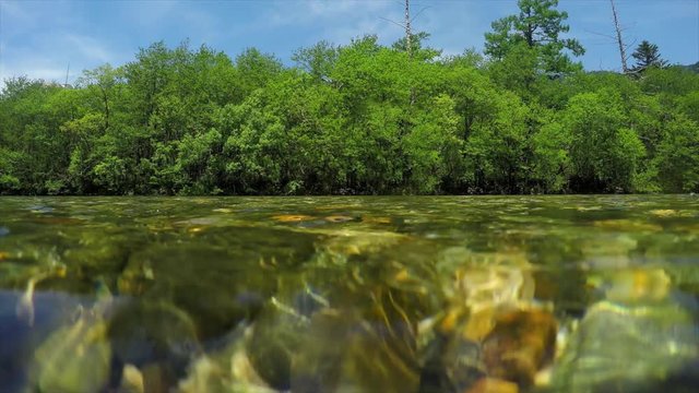 Kamikochi / Azusa river /underwater