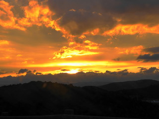 crepusculo