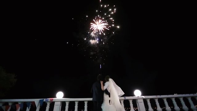 The back view of the happy kissing newlyweds enjoying the firework at night.