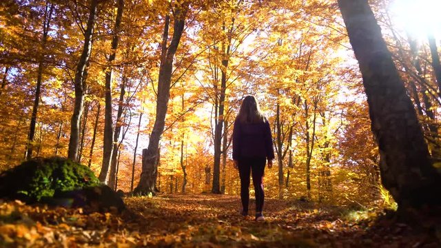 Young woman walking in a red forest in autumn