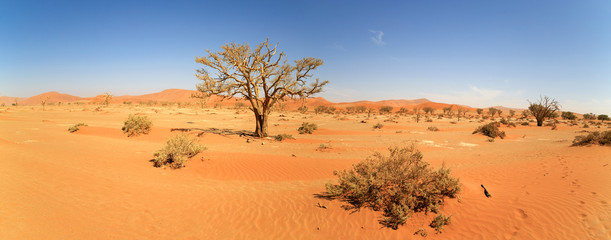 Namib-Naukluft Nationalpark