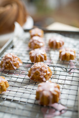 Bite sized cakes dripping in glaze rest on a wire baking rack 