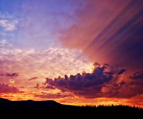 Fototapeta premium While in Jackson, Wyoming I was able to shoot this beautiful image at sunset.