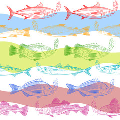 A set of popular marine fish. Multicolored pattern. Tuna, cod, dorado, salmon, sea bass, mackerel and painted oxygen bubbles. Sketch, vector illustration