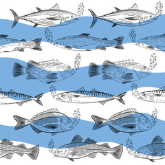A set of popular sea fish floating in different directions. Tuna, cod, dorado, salmon, sea bass, mackerel and oxygen bubbles. Sketch, vector illustration