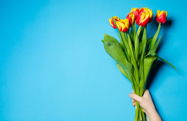 Красивые весенние тюльпаны в женской руке. Концепция весны. Пустое место для текста.
