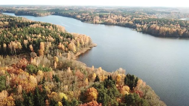 Aerial view of autumn mixed forest around river or lake.