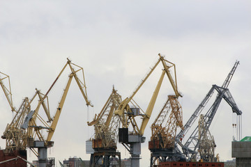Fototapeta na wymiar high freight cranes in port