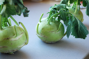 Kohlrabies (cabbage turnips) raw on neutral background.