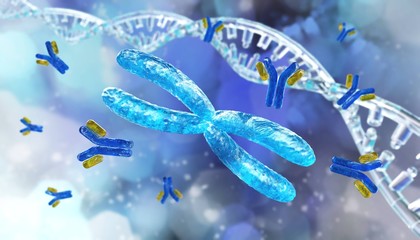 chromosome and antibody against the background of the DNA helix