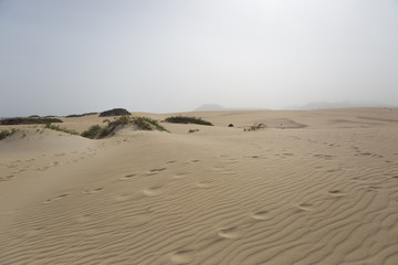 Sand dunes and rocks in the desert with fog