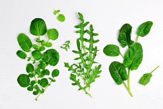 Various of different salad leaves on the white background. Land cress, rocket and spinach leaves isolated