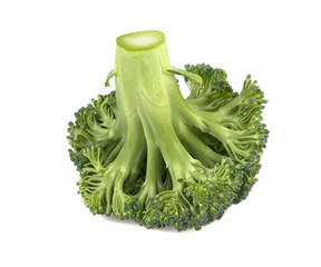 broccoli on white background