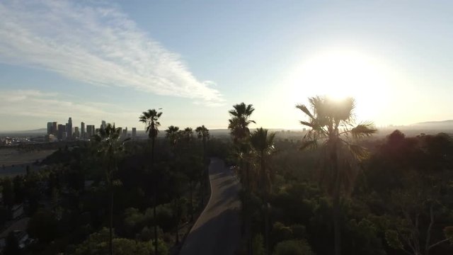 Aerial view of sparkling sun on palm tree lined road