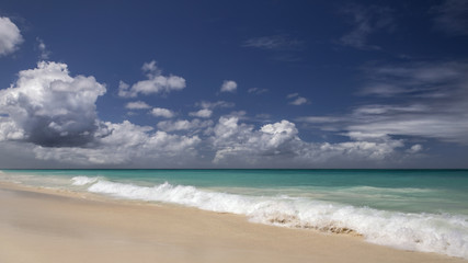 Fototapeta na wymiar Aruba - Eagle Beach