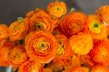 Bouquet of orange ranunculus - obrazy, fototapety, plakaty
