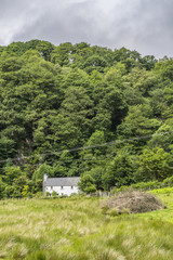 Countryside View on Fields, Trees and a House Under Cloudy Sky