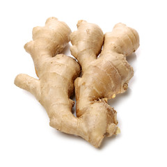 fresh ginger on white background 